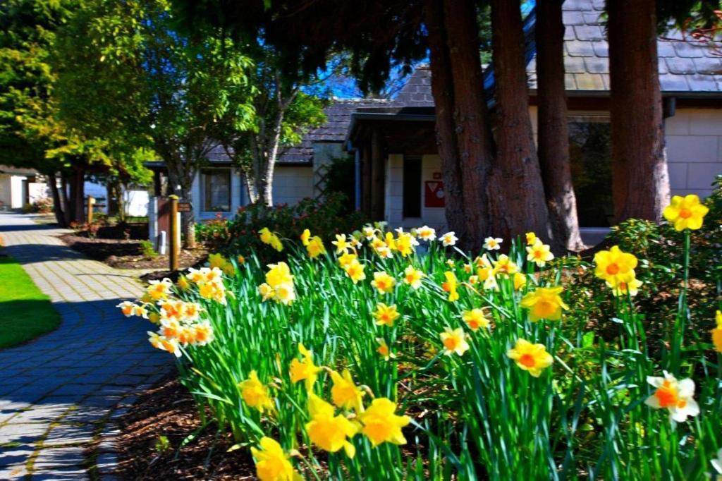 Distinction Te Anau Hotel & Villas Zewnętrze zdjęcie
